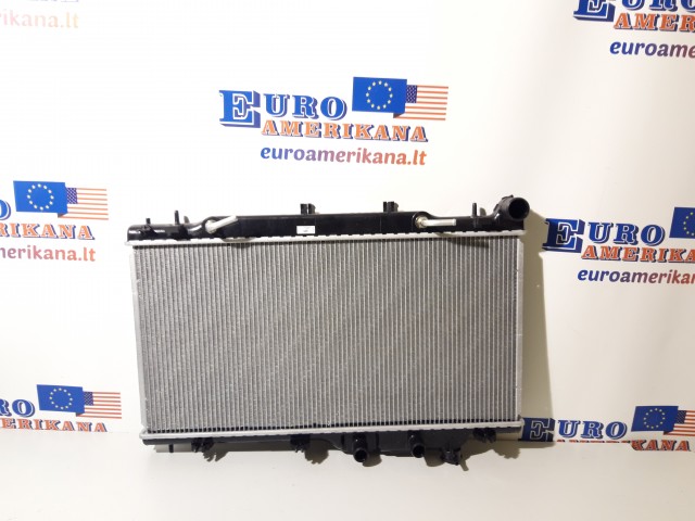 Radiator Assembly